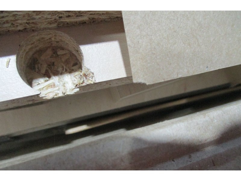 Письменный стол Пенни-2 Plywood White photo 3