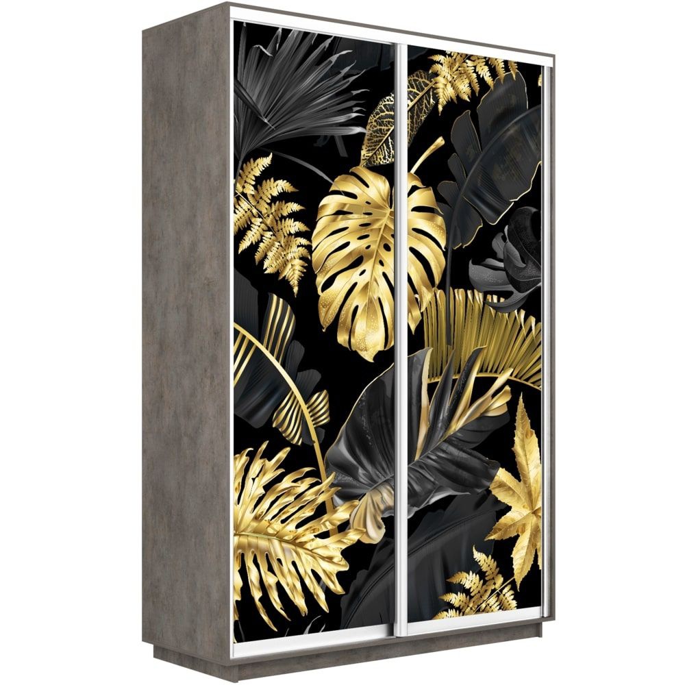 Шкаф Купе Е1 Экспресс Фото 120 240 60 1003