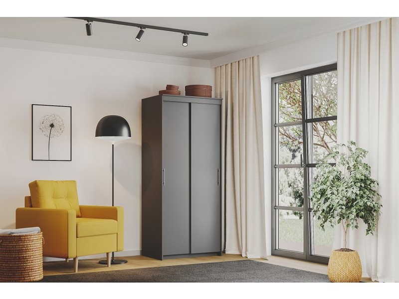 Шкаф-купе Тебар-2-90-210 Графит без зеркал photo 2