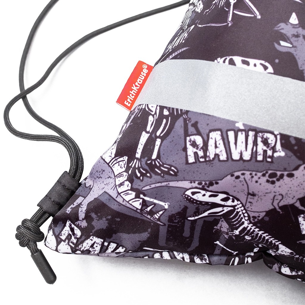 Мешок для обуви Erich Krause Dinosaur Park 500x410 мм photo 4