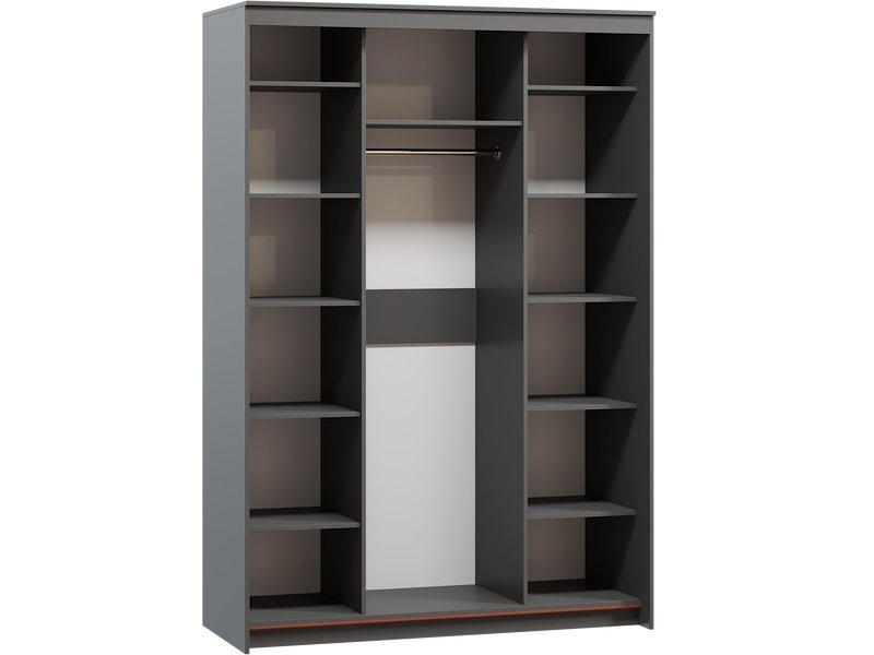 Шкаф-купе Тебар-3-150-220 Графит без зеркал photo 4