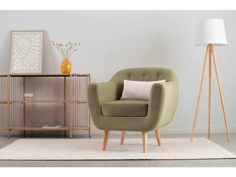 Кресло Роттердам Velvet Olive photo 2