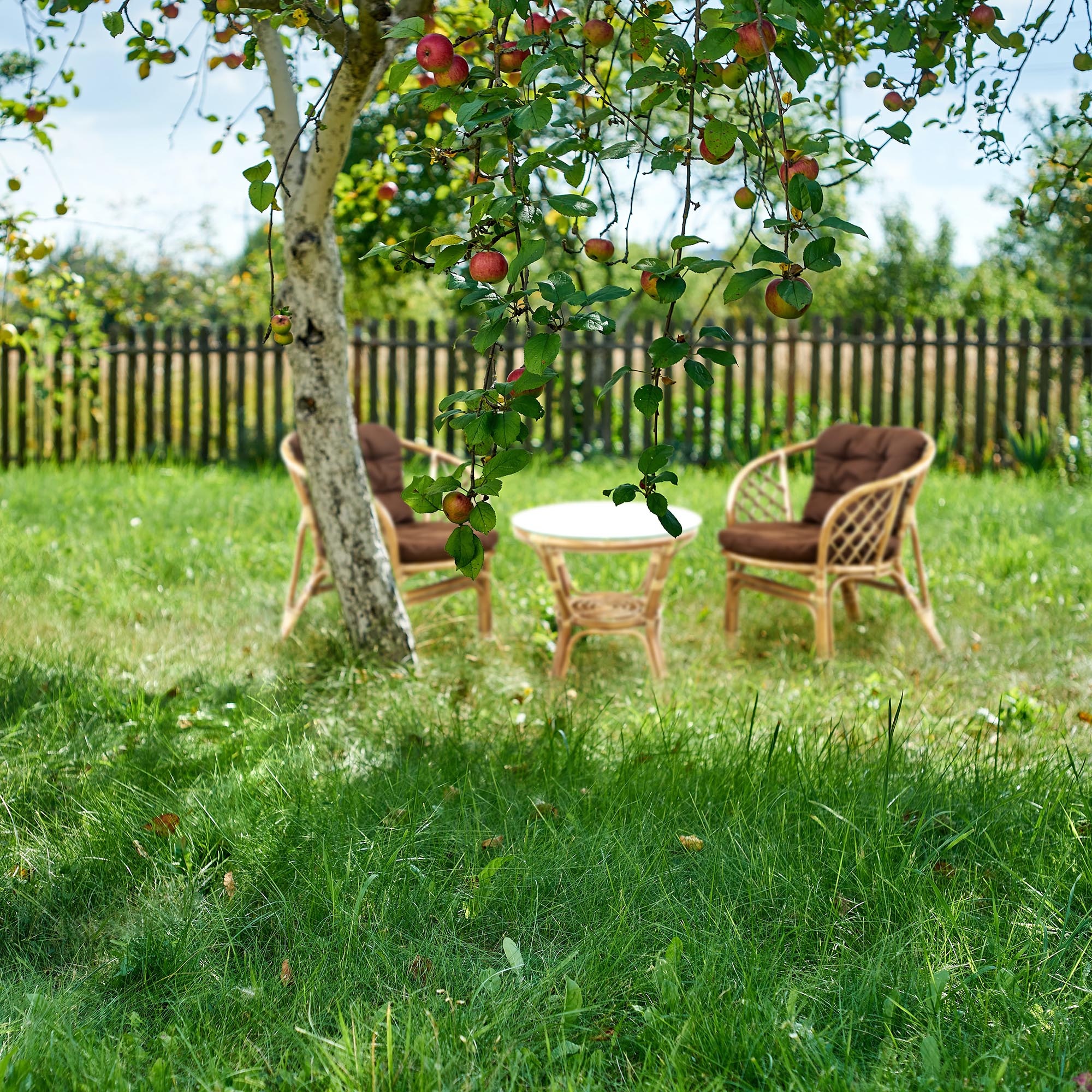 Комплект мебели Rattan grand toscana dk hon 3 предмета photo 2