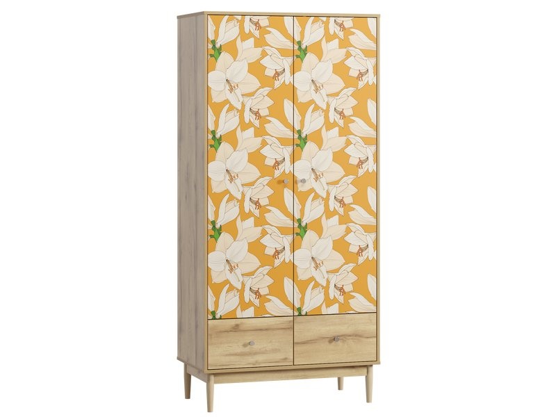 Распашной шкаф Тайрон-2 Lisse photo 4