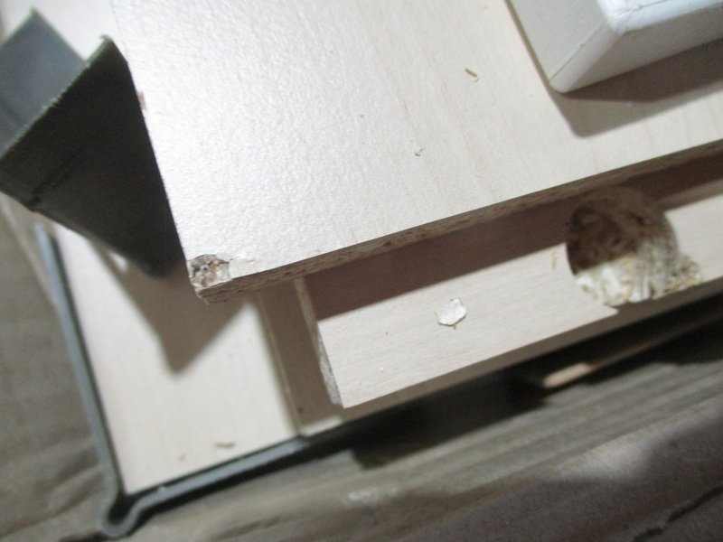 Письменный стол Пенни-2 Plywood White photo 5