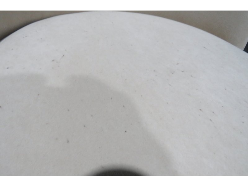 Стул Марти Velvet photo 3