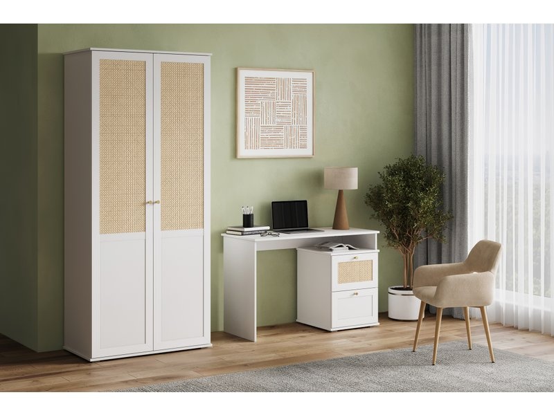 Распашной шкаф Алвис-2 White photo 2