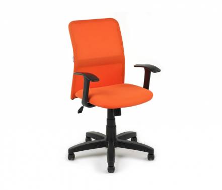 Кресло Экспресс Leo B фото