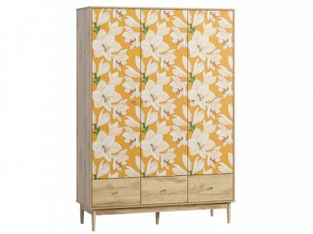 Распашной шкаф Тайрон-3 Lisse фото