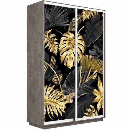 Шкаф Купе Е1 Экспресс Фото 120 240 60 1003 фото