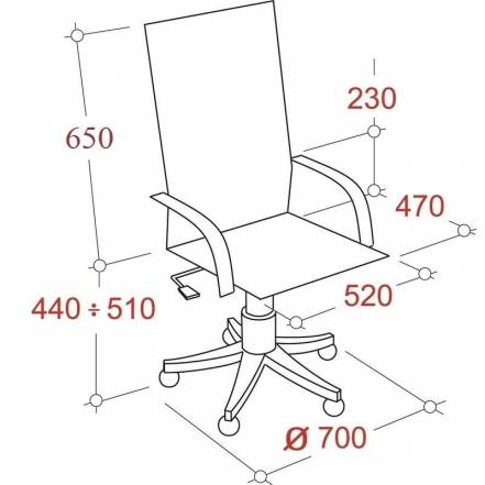 Кресло Bn Dt Руководителя Echair 506 Tpu фото