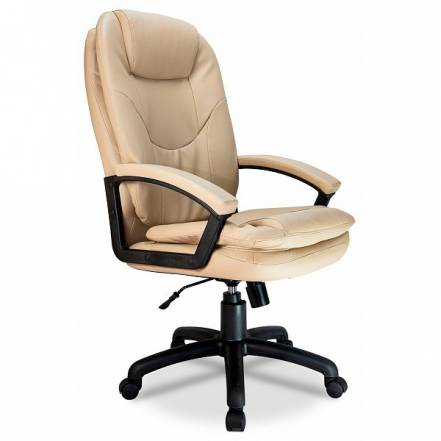 Кресло Riva Chair Rch 1168 Pl фото