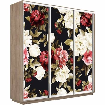 Шкаф Е1 Экспресс Фото 240 220 1020 фото