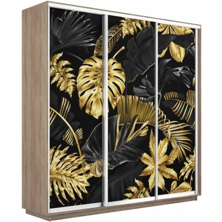 Шкаф Е1 Экспресс Фото 240 220 1003 фото