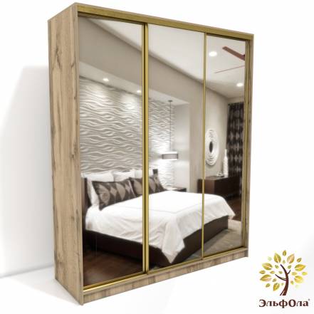 Шкаф Купе Эльфола Элеганс фото
