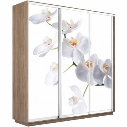 Шкаф Е1 Экспресс Фото 240 220 фото