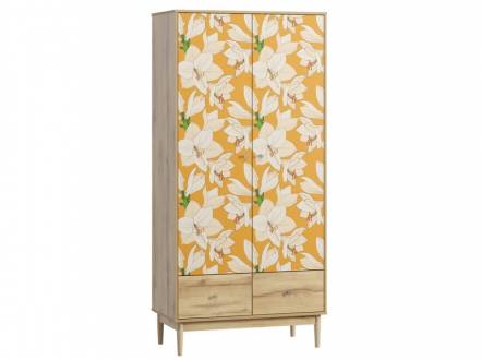 Распашной шкаф Тайрон-2 Lisse фото