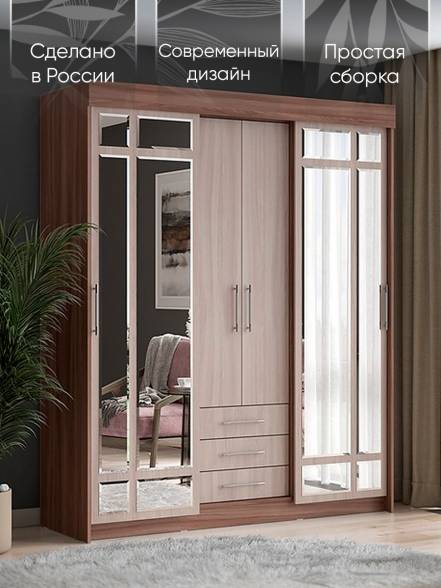 Шкаф Купе Интерьер Фортуна 69376 фото