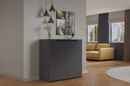 Тумба Лорена Пакс 1 Графит Шxгxв 1100 440 900 Мегамебель Мегамебель фото