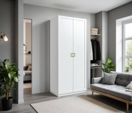 Шкаф двухдверный Ассоль/Макс 1000 мм фото